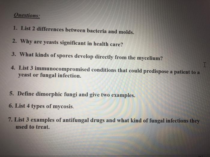 Questions 1 List 2 Differences Between Bacteria And Chegg Com