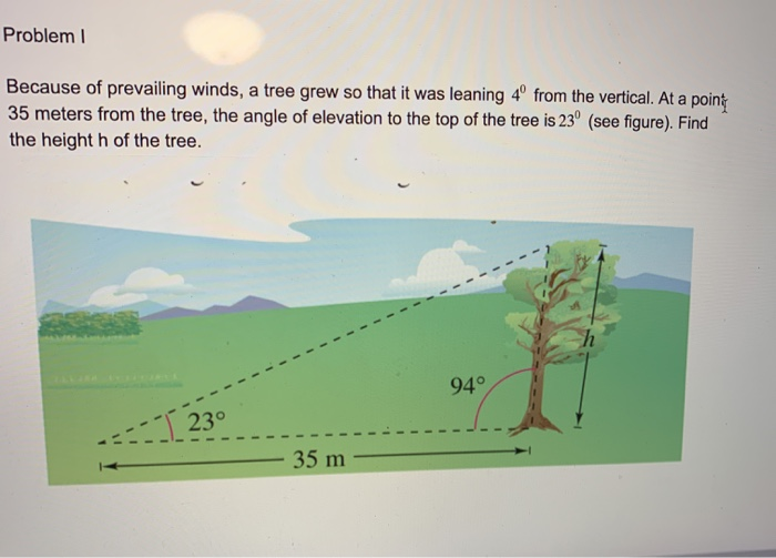 Solved Problem Because of prevailing winds, a tree grew so