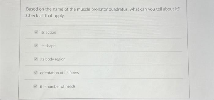 Solved Based on the name of the muscle pronator quadratus, | Chegg.com