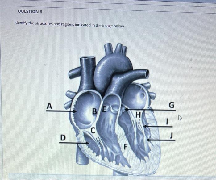 What does a blue heart mean on match?