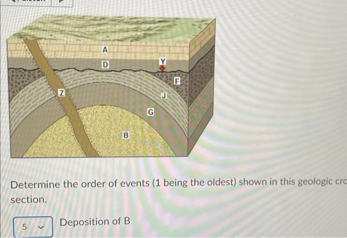 Determine The Order Of Events ( 1 Being The Oldest) | Chegg.com