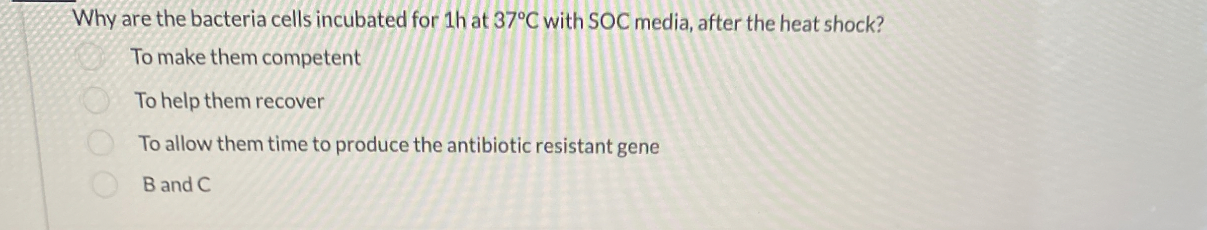 Solved Why are the bacteria cells incubated for 1 ﻿h at 37°C | Chegg.com