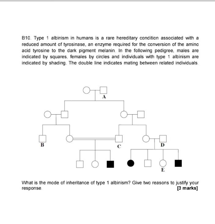 Solved B10. Type 1 albinism in humans is a rare hereditary | Chegg.com