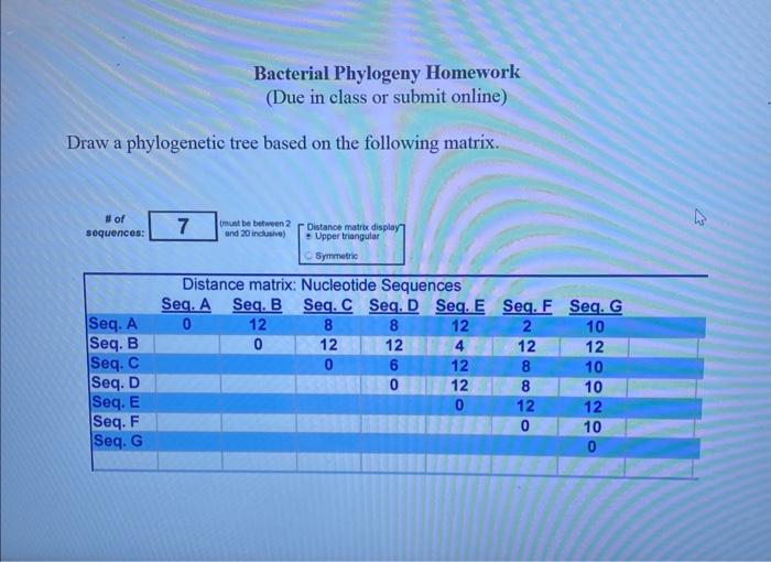 Solved Using This Picture Make A Phylogenetic Tree Using Chegg Com