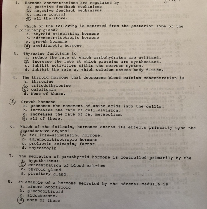 solved-hormone-concentrations-are-regulated-by-a-positive-chegg