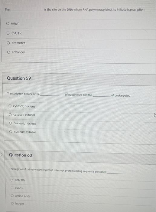 Solved The Is The Site On The Dna Where Rna Polymerase Binds 