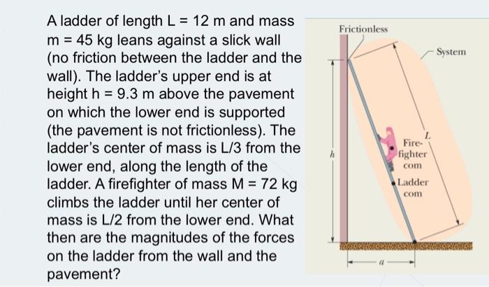 solved-frictionless-system-a-ladder-of-length-l-12-m-and-chegg