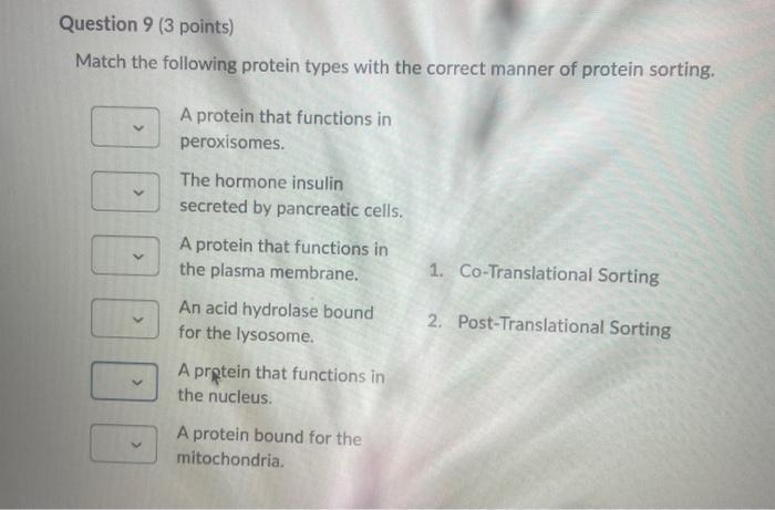 Solved Match The Following Protein Types With The Correct | Chegg.com