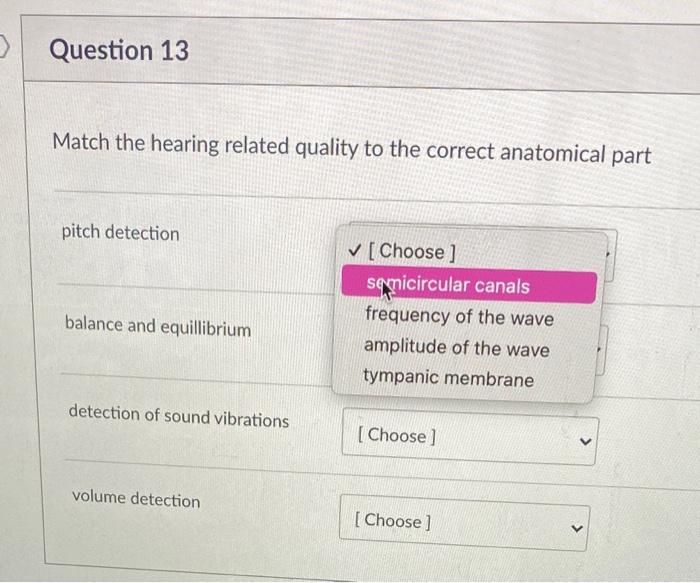 Solved > Question 13 Match The Hearing Related Quality To | Chegg.com