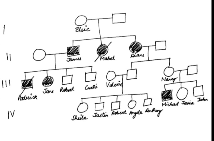 Solved PART 2: Constructing Valerie's Family Pedigree Une of | Chegg.com