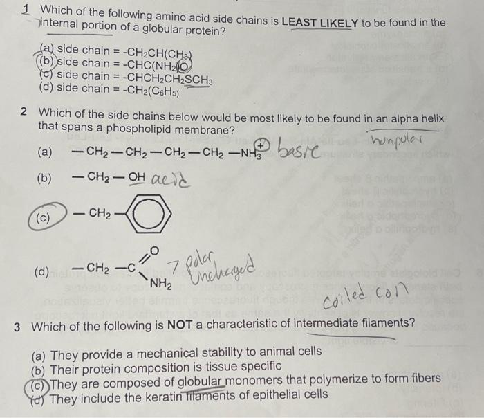 Solved 1 Which of the following amino acid side chains is | Chegg.com