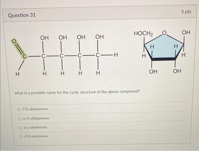 cyclic aldopentose