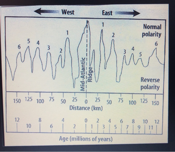 Solved w West East Normal polarity Mid-Atlantic Ridges | Chegg.com