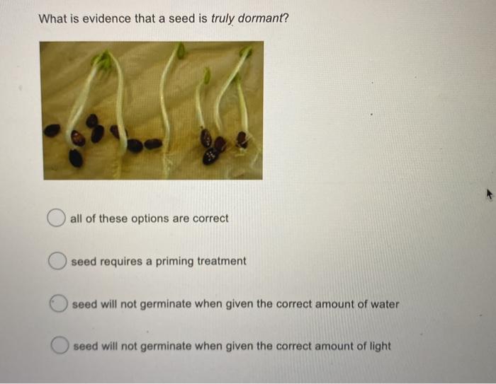 Solved What is evidence that a seed is truly dormant? all of | Chegg.com