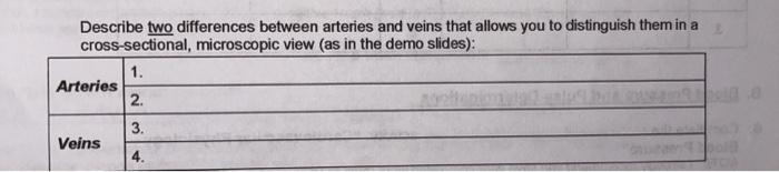 Describe two differences between arteries and veins that allows you to distinguish them in a cross-sectional, microscopic vie