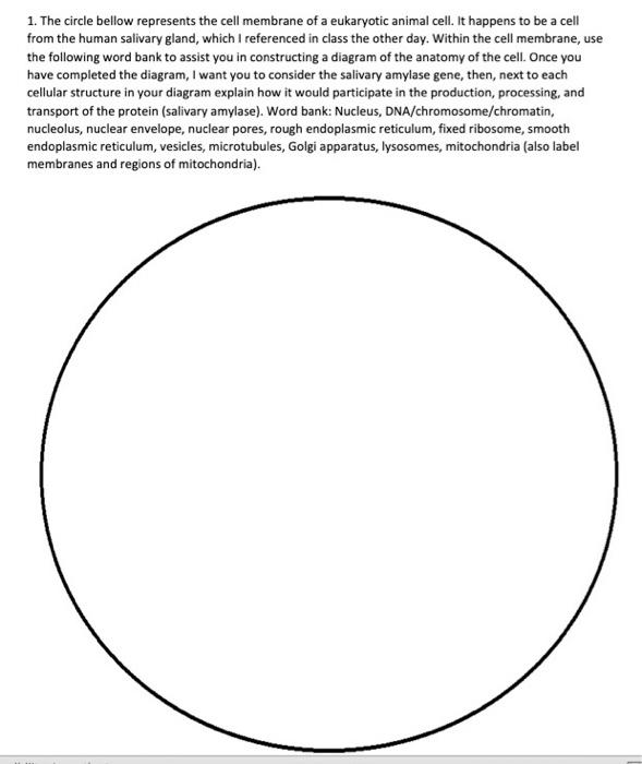 Solved 1. The circle bellow represents the cell membrane of | Chegg.com