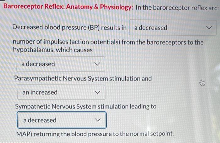 Solved Baroreceptor Reflex: Anatomy \& Physiology: In The | Chegg.com