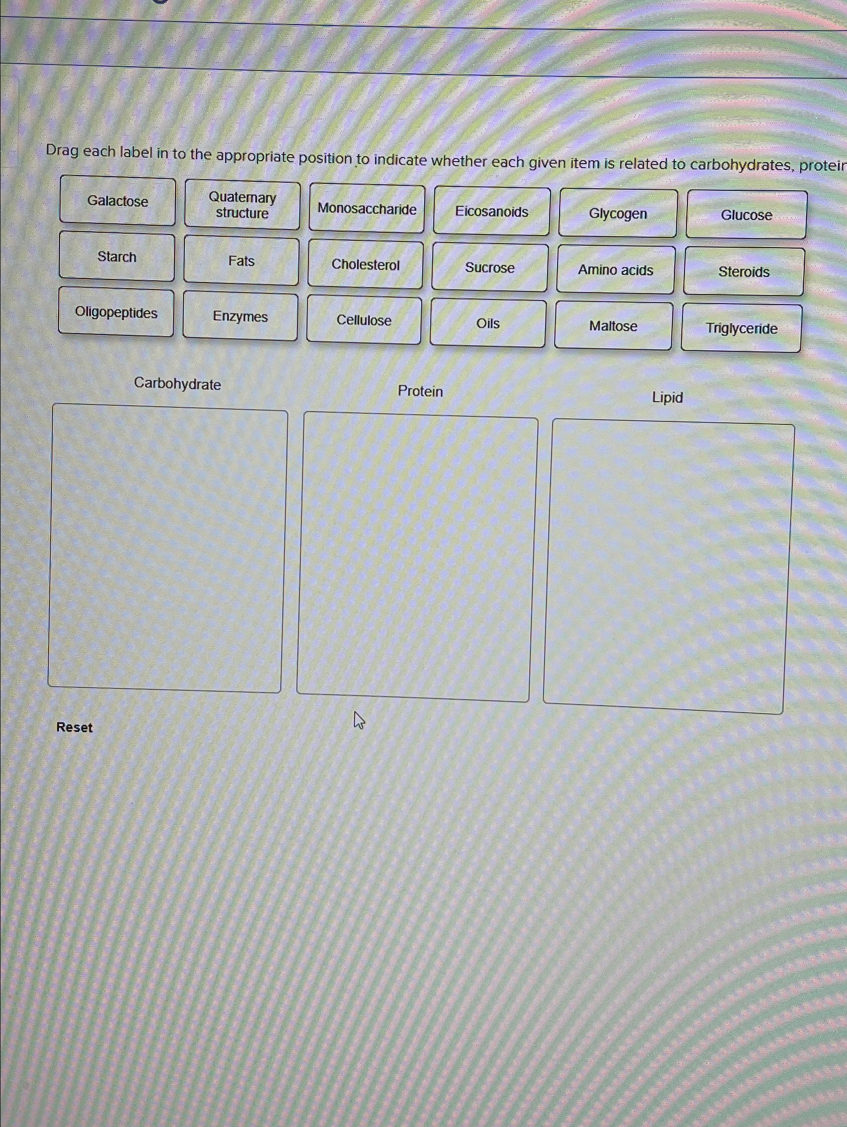 Solved Drag Each Label In To The Appropriate Position To | Chegg.com