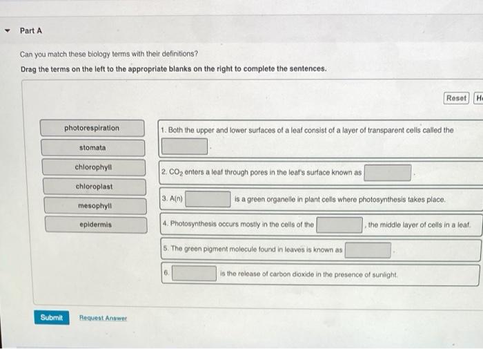 solved-part-a-can-you-match-these-biology-terms-with-their-chegg