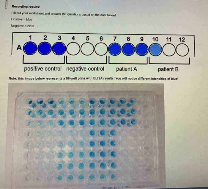 Solved Examining ELISA Results Indicate the color(s) of each