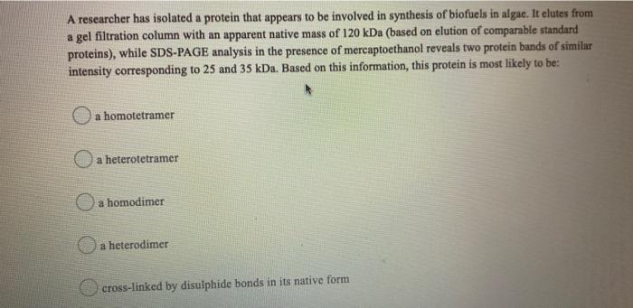 Solved A Researcher Has Isolated A Protein That Appears To | Chegg.com