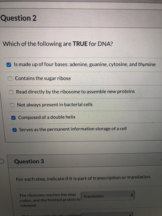 Solved Question 2 Which Of The Following Are TRUE For DNA? | Chegg.com