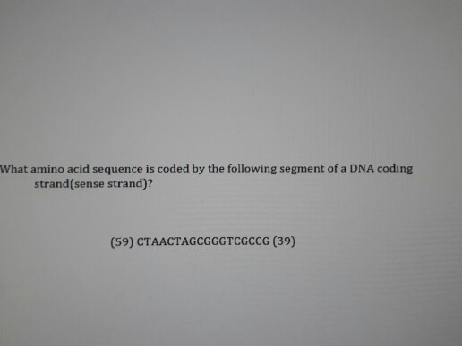 Solved What amino acid sequence is coded by the following | Chegg.com