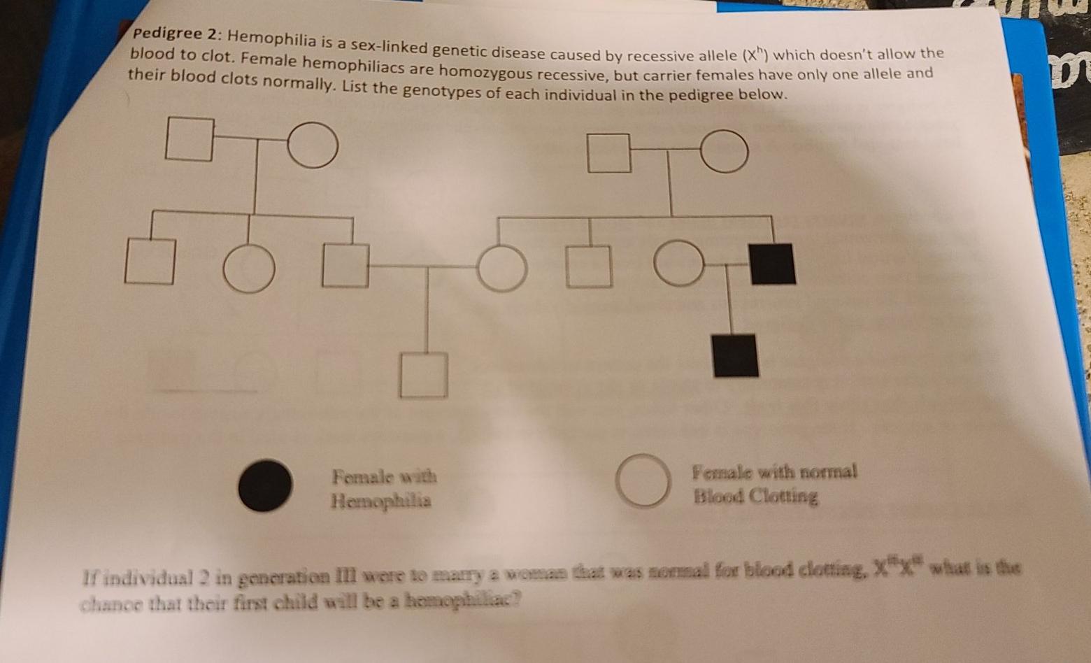 Solved Pedigree 2: Hemophilia is a sex-linked genetic | Chegg.com