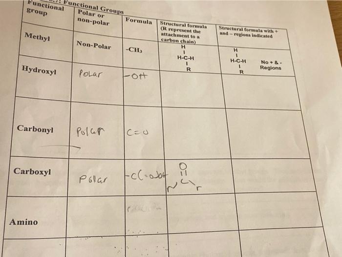 Solved Functional Groups Functional Polar or group non-polar | Chegg.com