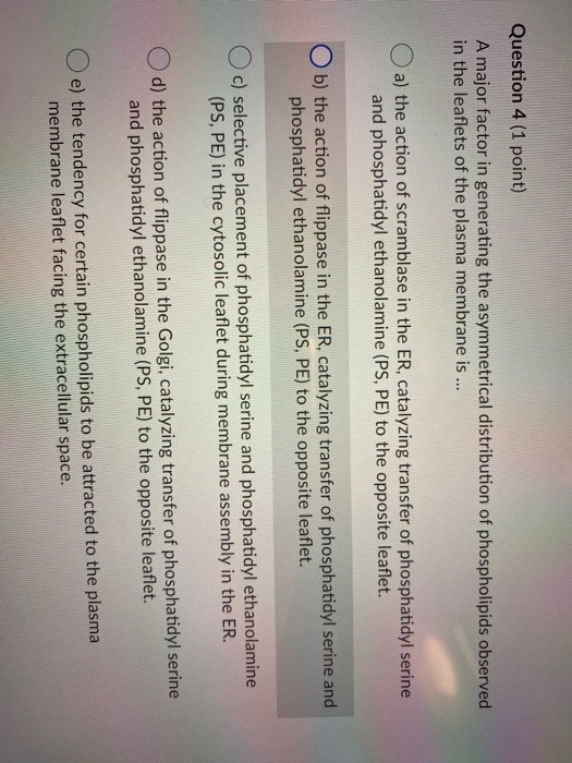 Solved Question 2 (1 point) Which of the following would be | Chegg.com