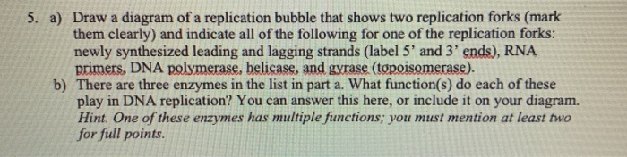 Solved 5. a) Draw a diagram of a replication bubble that | Chegg.com
