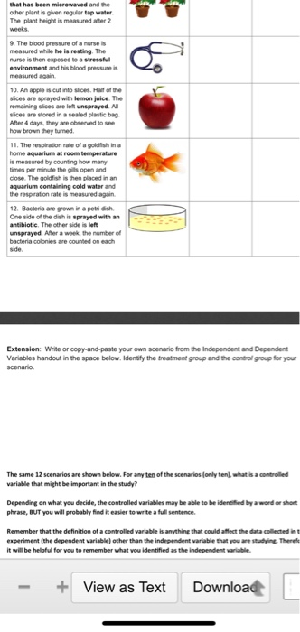 control group biology example