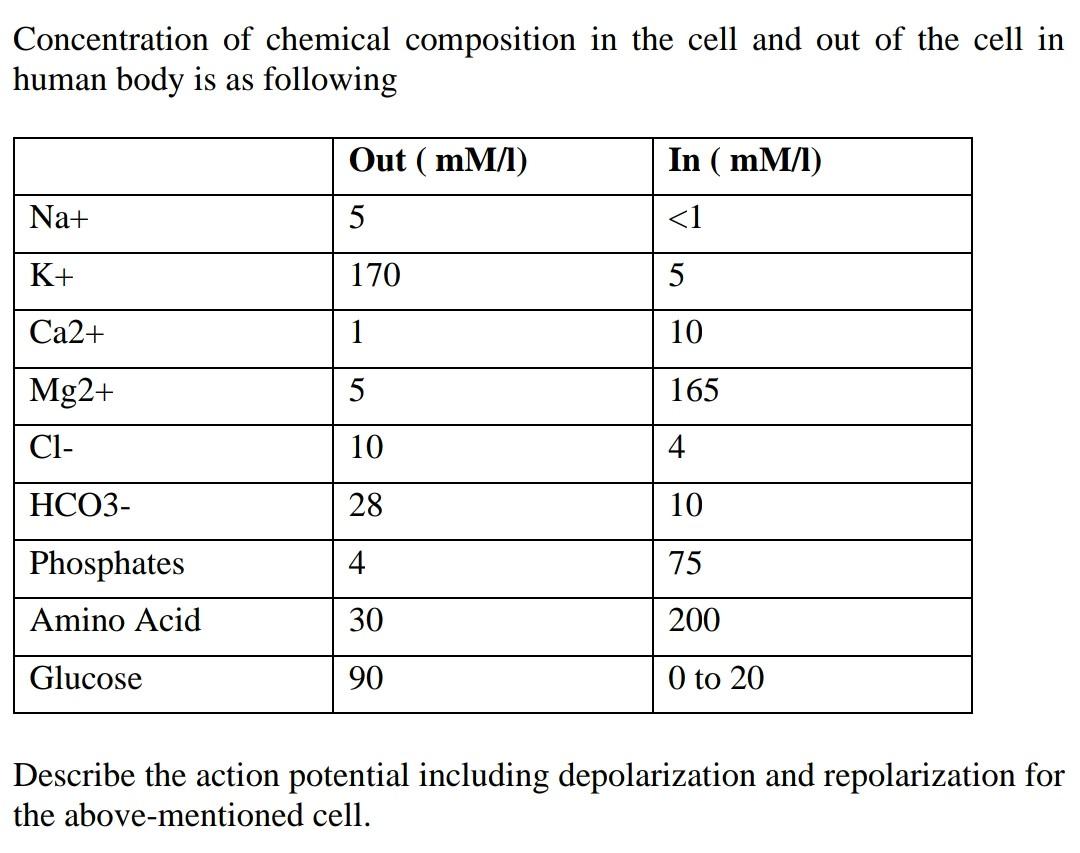 Chemical Makeup Of Human Body | Saubhaya Makeup 