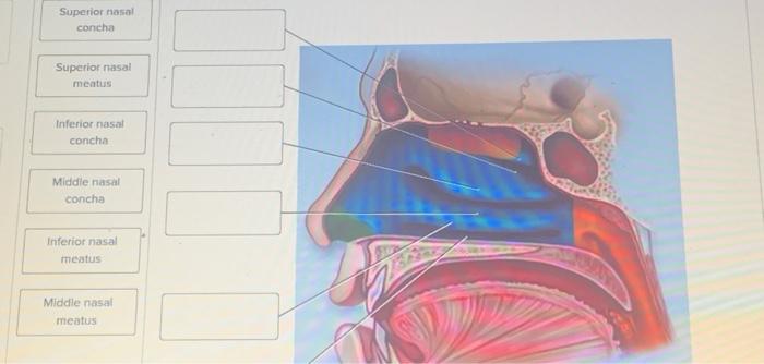 Solved label the diagram below | Chegg.com