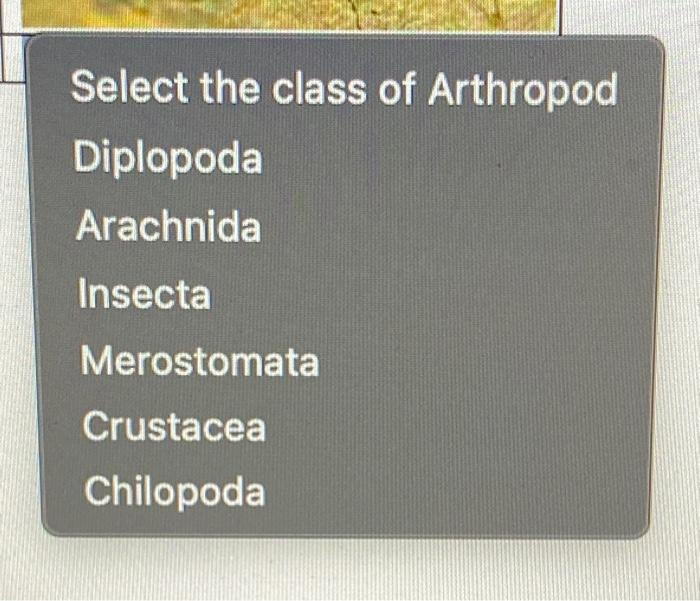 Solved Part 5: The five classes of Arthropods: Below each | Chegg.com