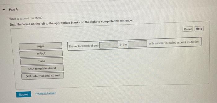 Solved Part A What is a point mutation? Drag the terms on | Chegg.com