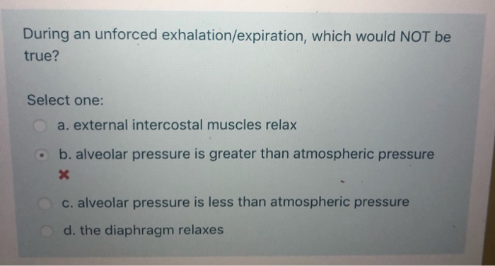 Solved During an unforced exhalation/expiration, which would | Chegg.com