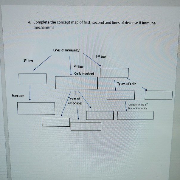 Solved 4. Complete the concept map of first second and lines | Chegg.com