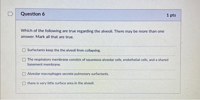 Solved Which of the following are true regarding the | Chegg.com