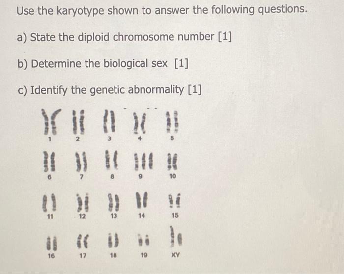 Solved Use the karyotype shown to answer the following | Chegg.com