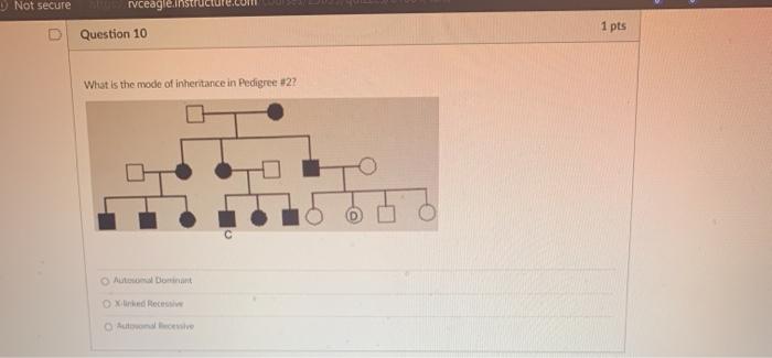 Solved U Question 7 Experiment 2: Pedigree Analysis What is | Chegg.com