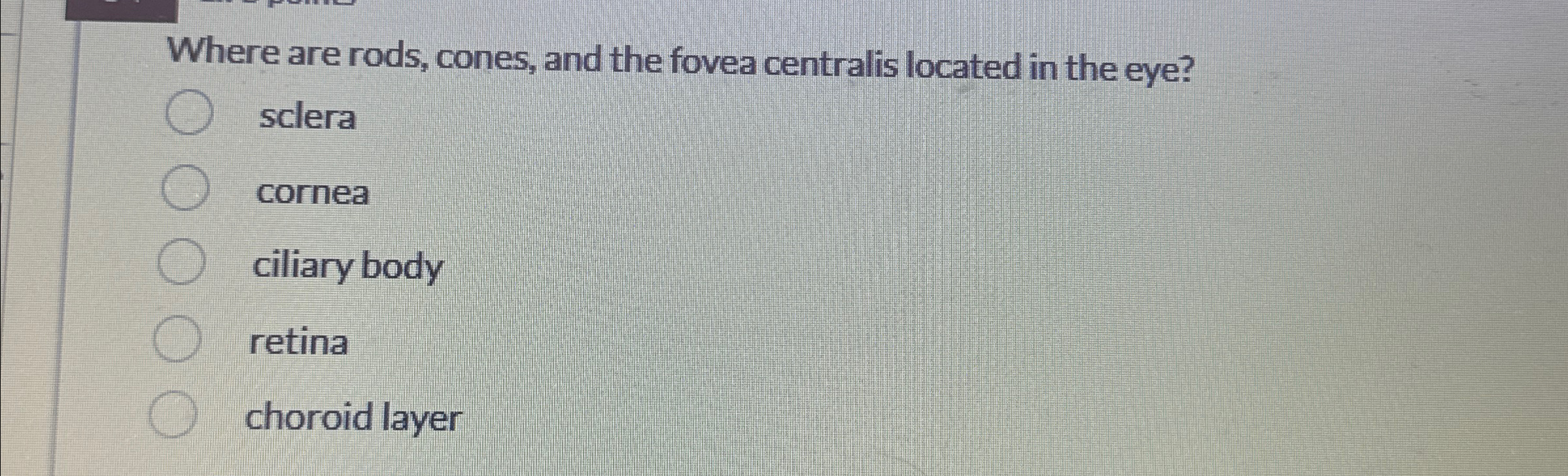 Solved Where are rods, cones, and the fovea centralis