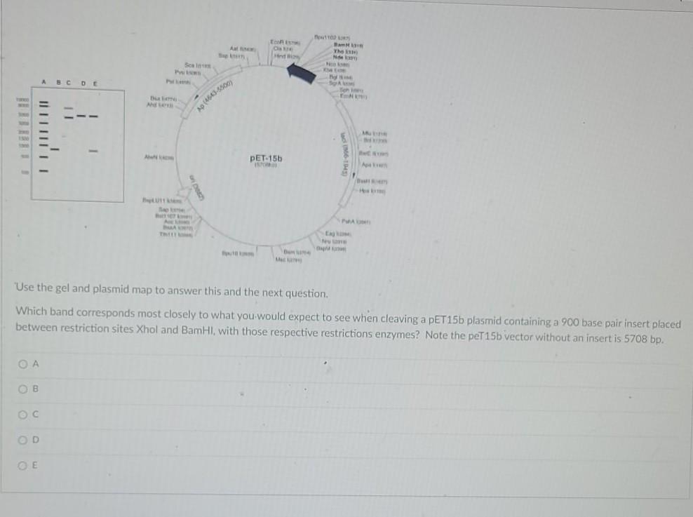 Solved E CS Whe he Duo (4643-5500 10 pET-15b A Use the gel | Chegg.com