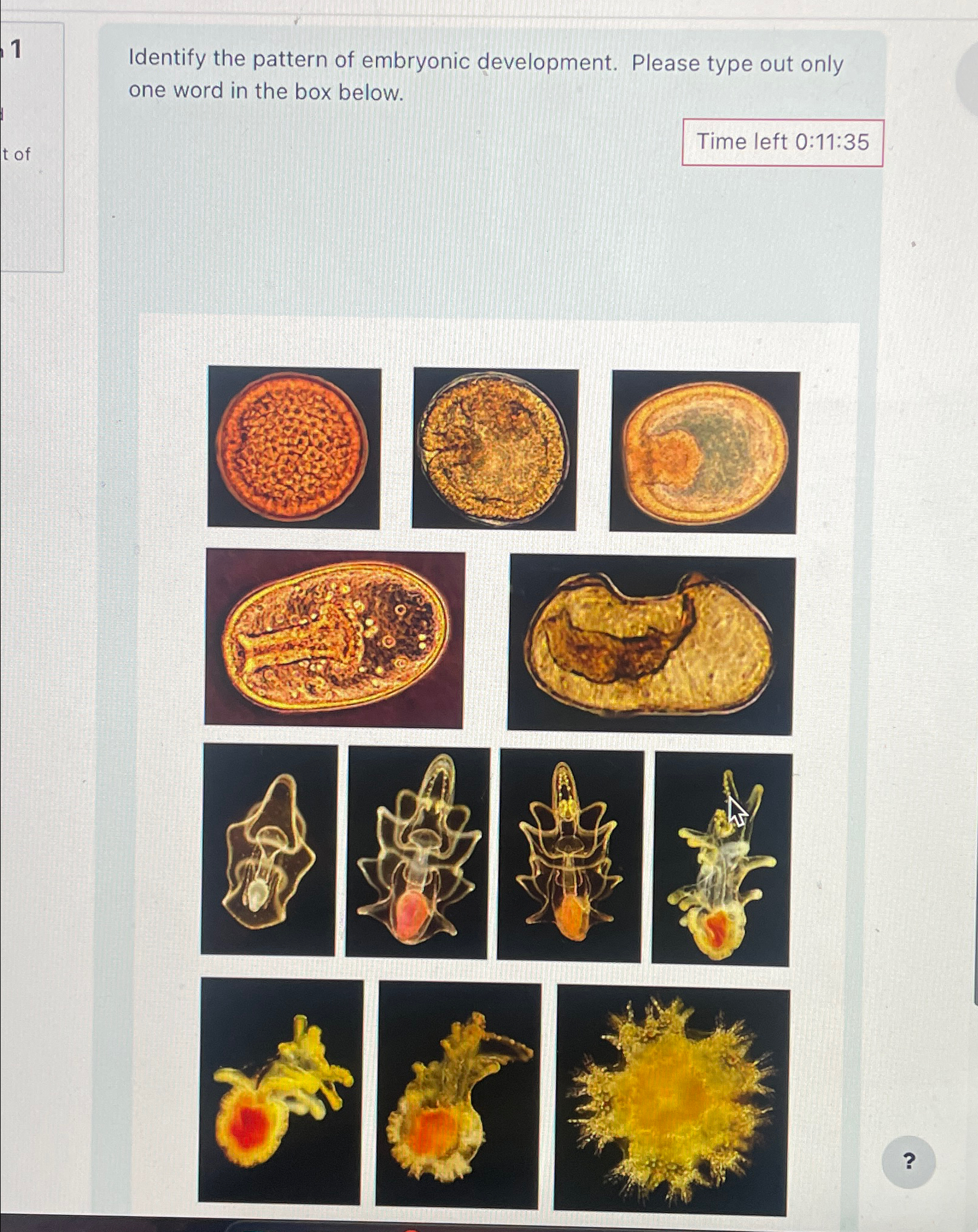 Solved 1Identify the pattern of embryonic development. | Chegg.com