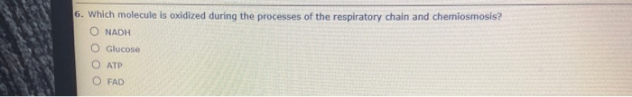 Solved 5. If heat speeds chemical reactions in a lab, why | Chegg.com