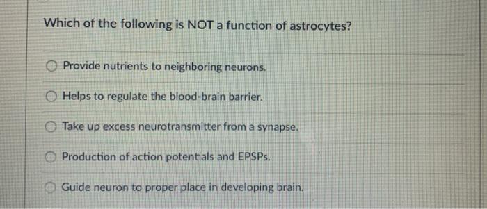 Which of the following is NOT a function of astrocytes? Provide nutrients to neighboring neurons. Helps to regulate the blood