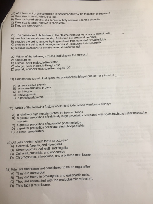 Solved 28) Which Aspect Of Phospholipids Is Most Important | Chegg.com Solved 28) Which Aspect Of Phospholipids Is Most Important | Chegg.com