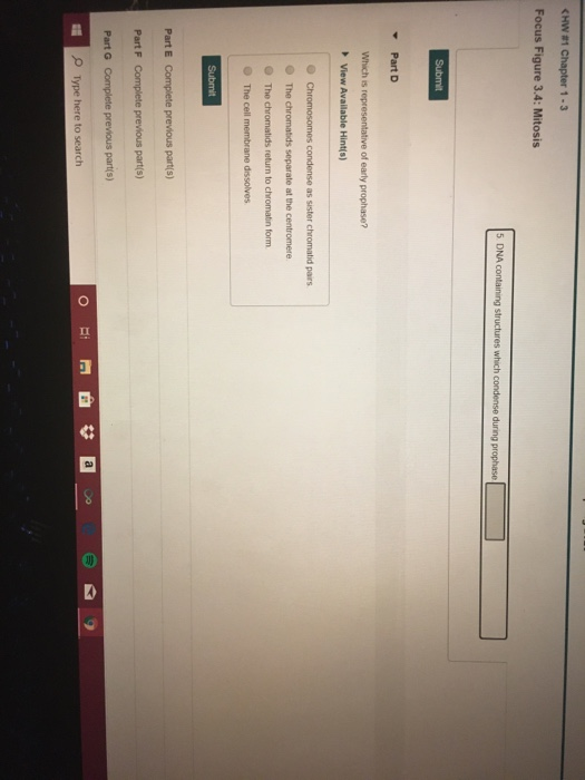 Solved Api Spring 2020 Thapter 1.3 Gure 3.4: Mitosis Abel | Chegg.com Solved Api Spring 2020 Thapter 1.3 Gure 3.4: Mitosis Abel | Chegg.com