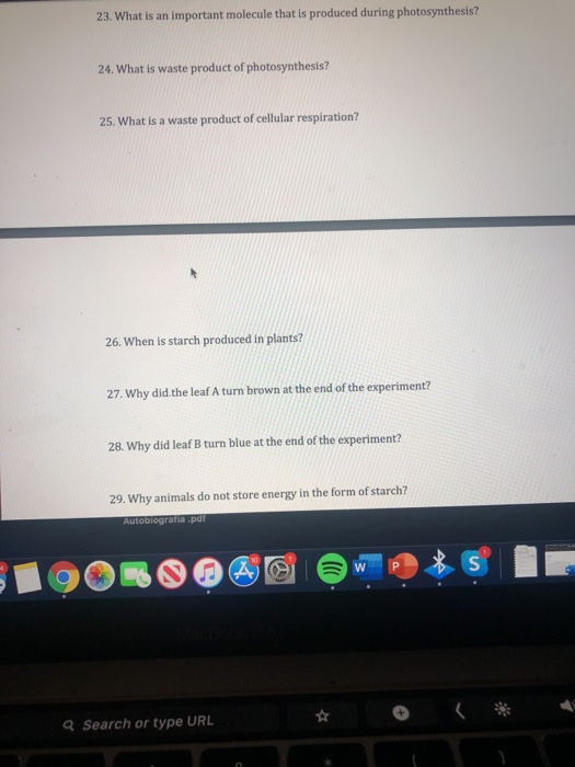 Solved LAB 8 Photosynthesis Name Part 1 Depletion of CO2
