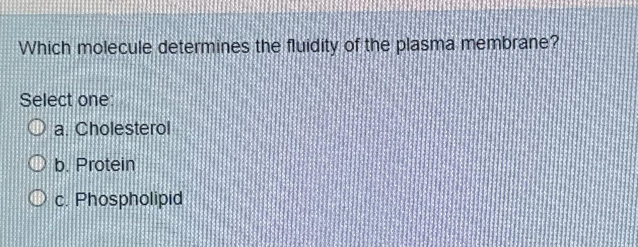 Solved Which molecule determines the fluidity of the plasma | Chegg.com